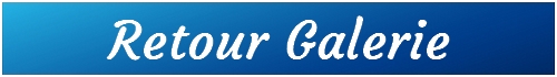 retour galerie